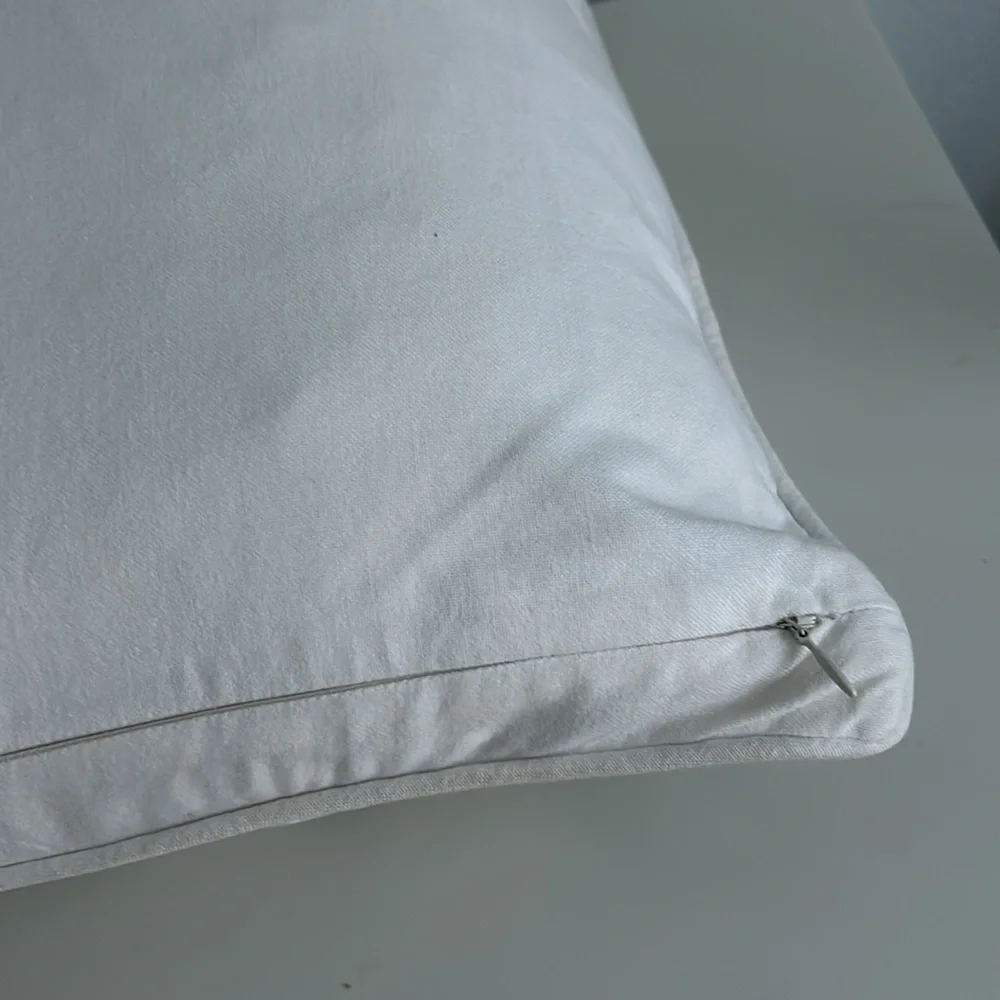 Pottery Barn Embroidered Pillow Cover + Restoration Hardware Pillow